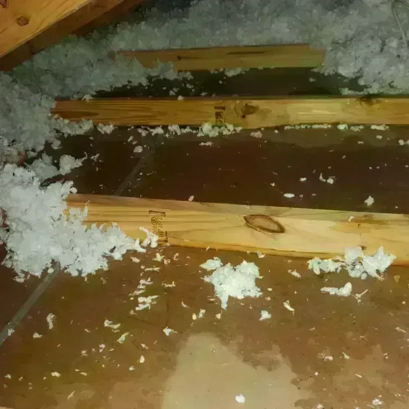 Attic Water Damage in Chesterton, IN