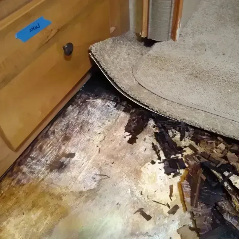 Best Wood Floor Water Damage Service in Chesterton, IN